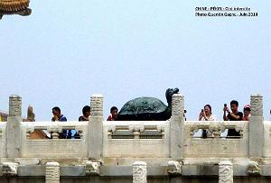 Pekin Cite interdite 096